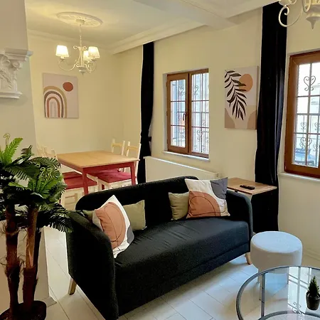 W/ New Furnitures Next To Istiklal Street And Taksim Square 아파트호텔 3*